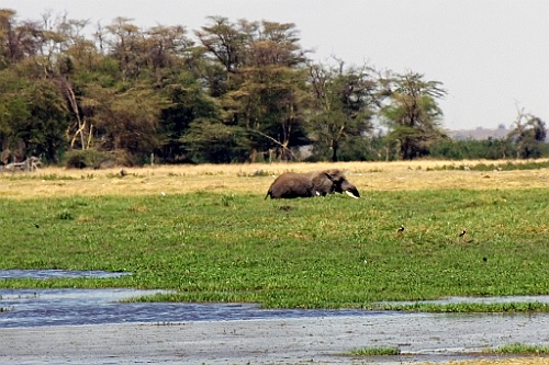 Kenia (172)